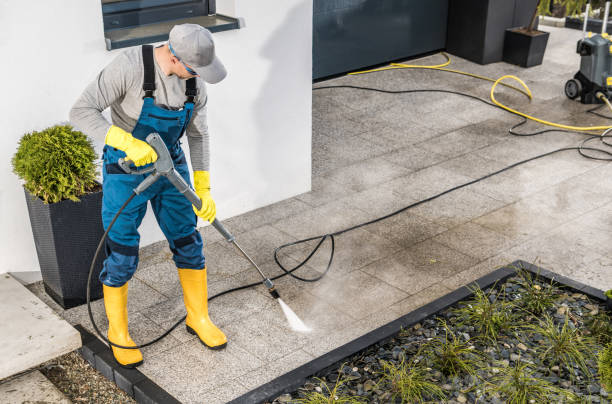 Roof Power Washing Services