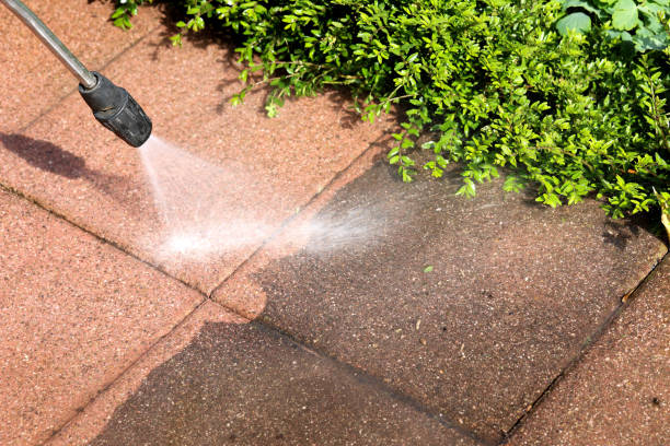 Best Local Pressure Washing Services  in St Augustine Beach, FL